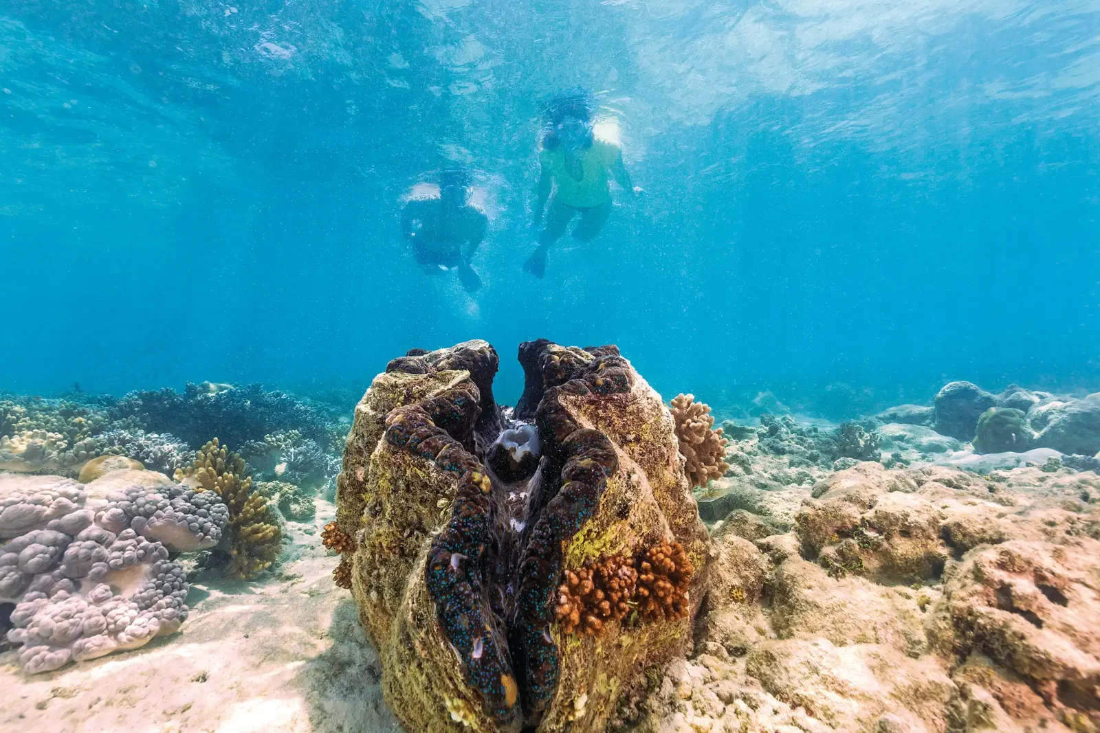 How to see Australia in 2 weeks