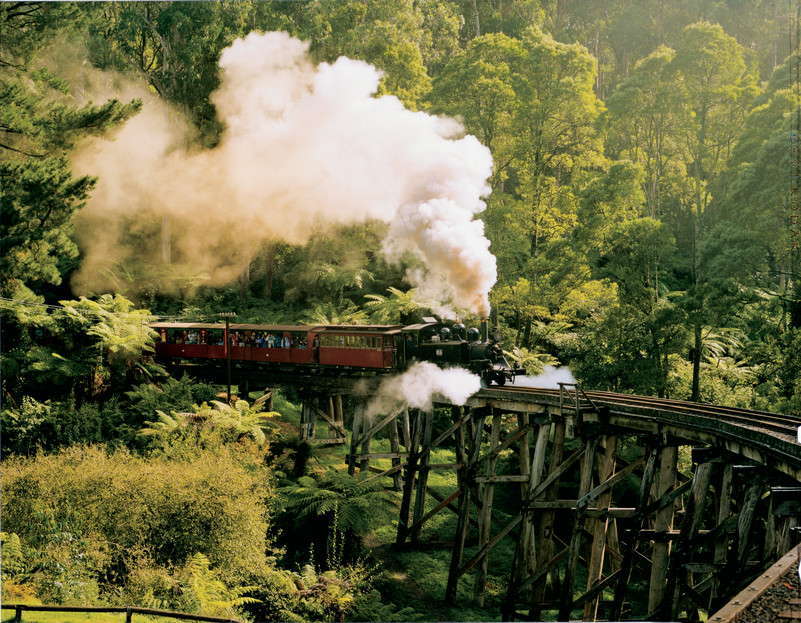 The Dandenong Ranges and Puffing Billy