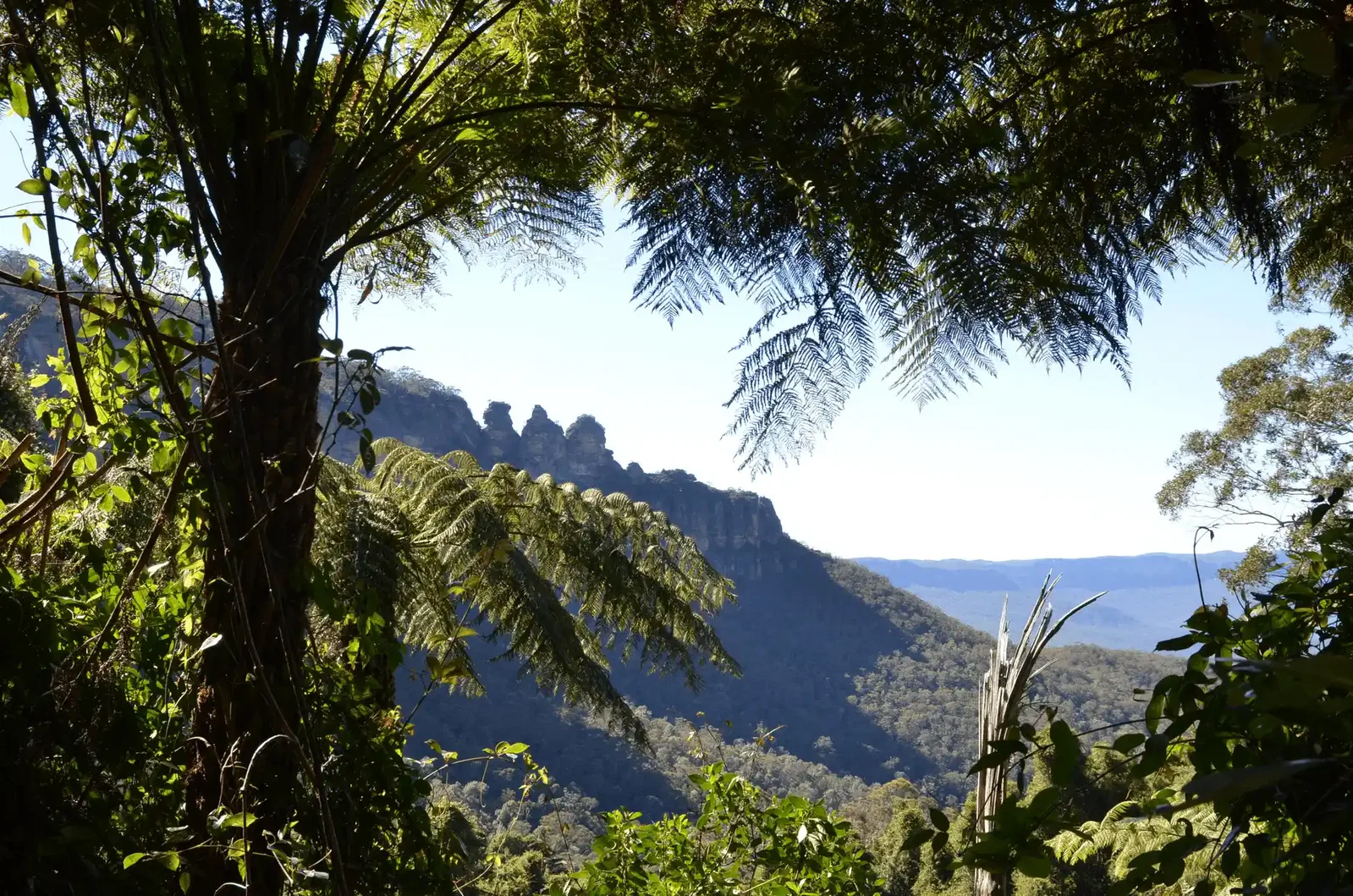The four attractions at Scenic World
