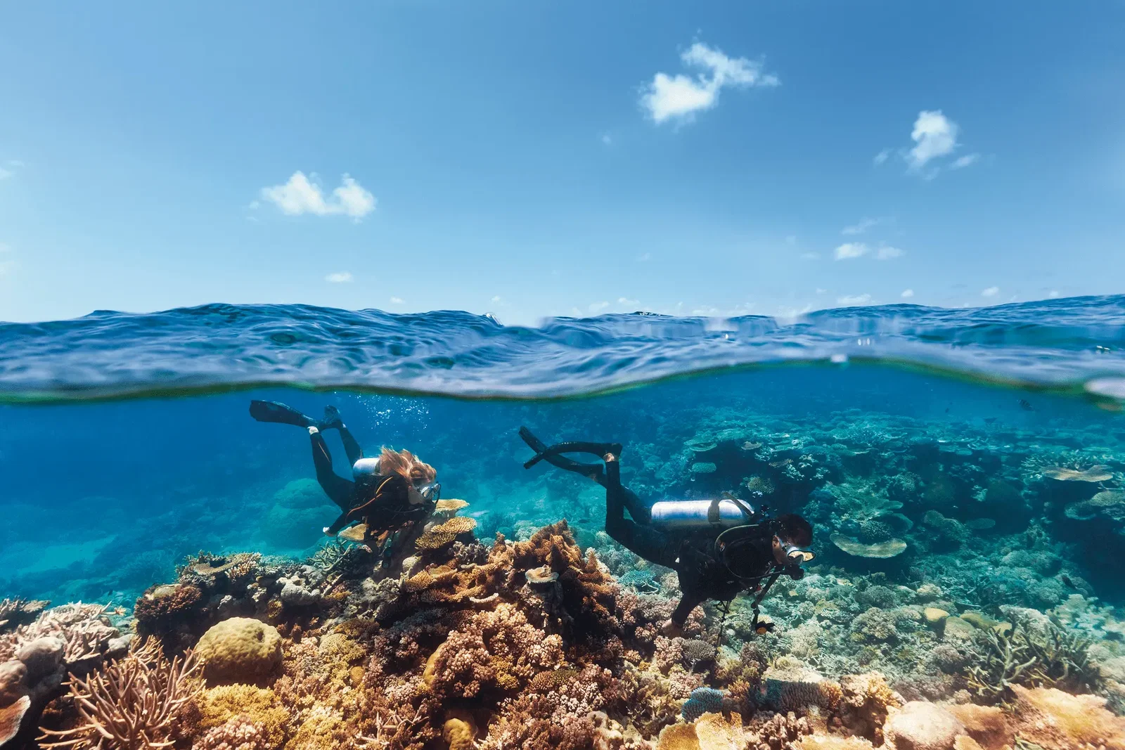 How to explore the Great Barrier Reef
