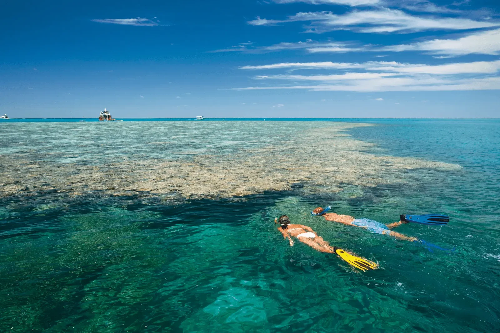 Beginner dive on the Great Barrier Reef
