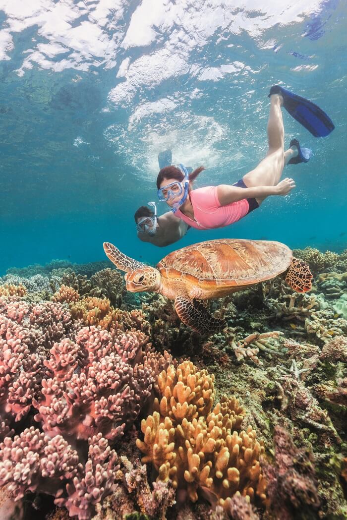 Cairns Tours Package 365