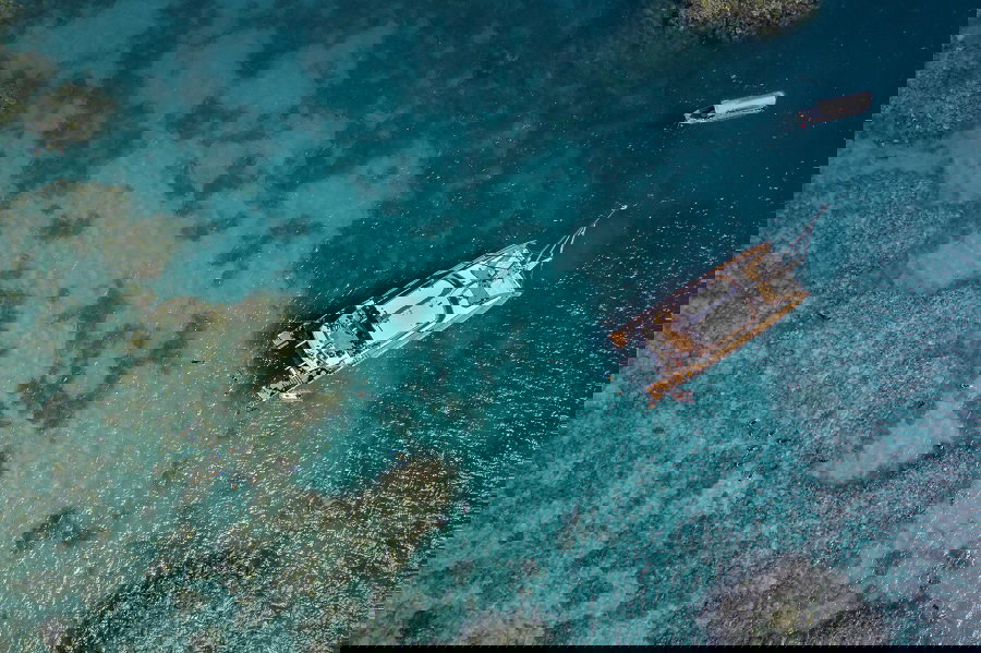 Great Barrier Reef Premium Snorkelling Tour 214