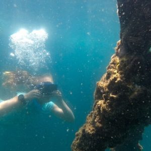 1 Day Moreton Island Tour