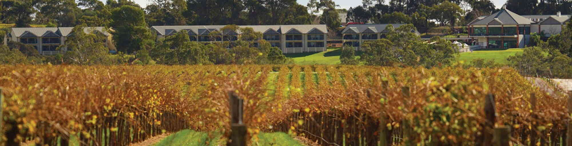 Barossa Valley Winery Tour