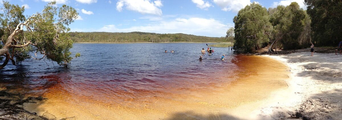 The Unique and Fascinating Backdrop of Brown Lake