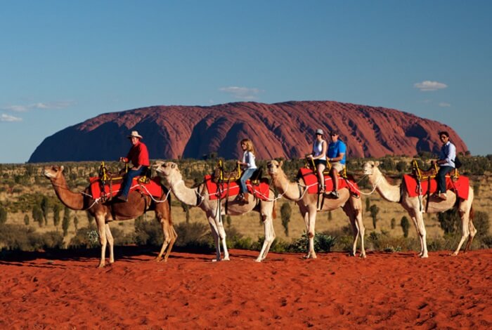 Take a Camel Ride in Uluru