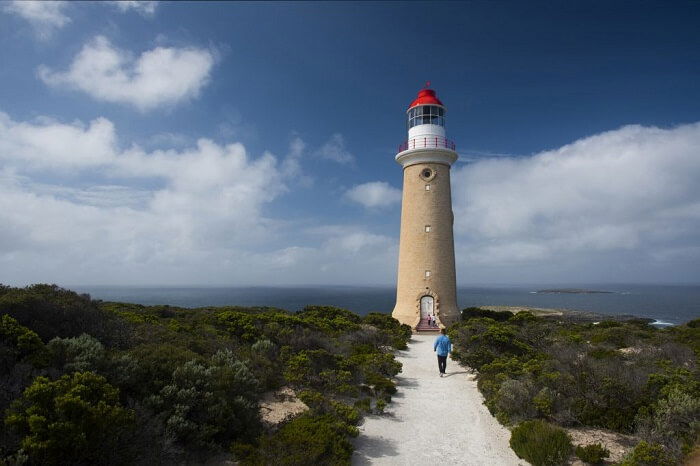 The History of the Cape Du Couedic Lighthouse