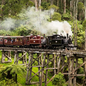 Half-day Puffing Billy Tour