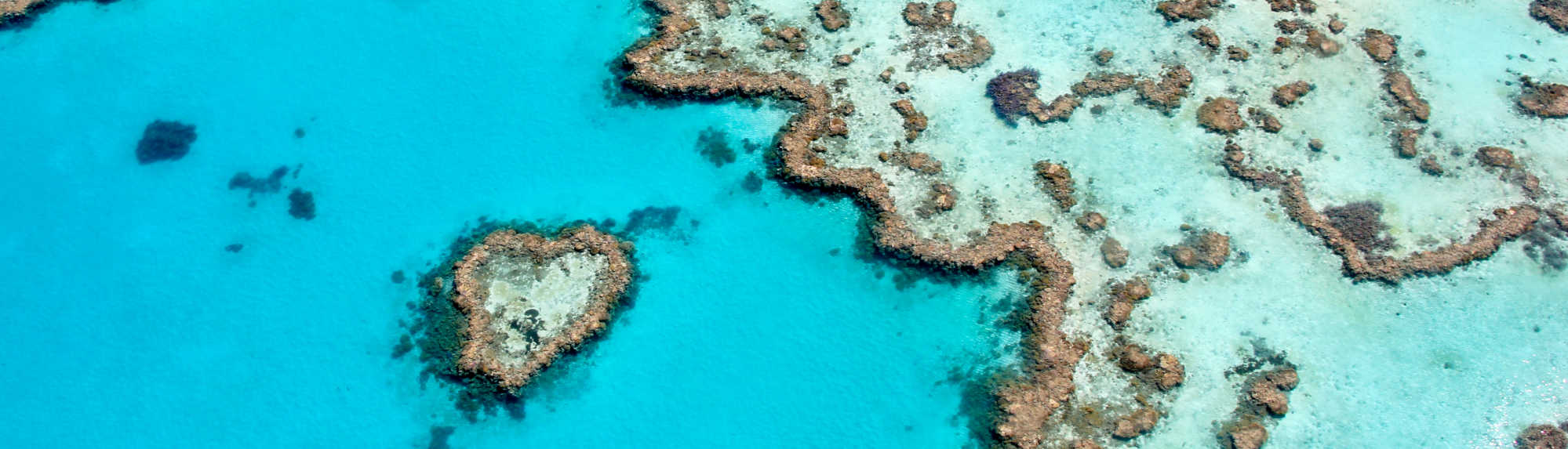 Seeing the Heart Reef in the Whitsundays