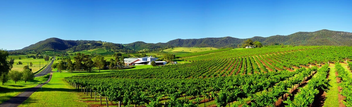 Wines of the Hunter Valley
