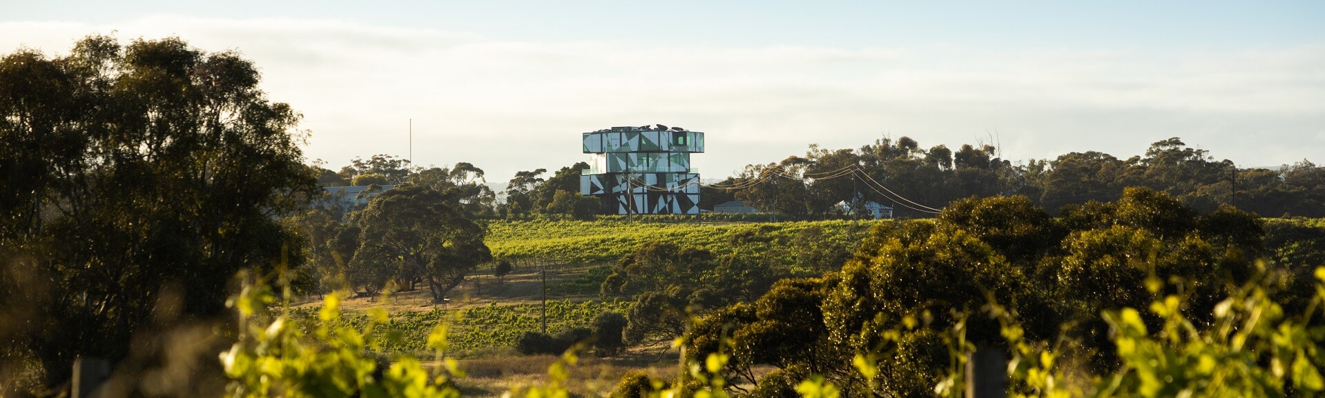McLaren Vale & Cube Tour with Lunch