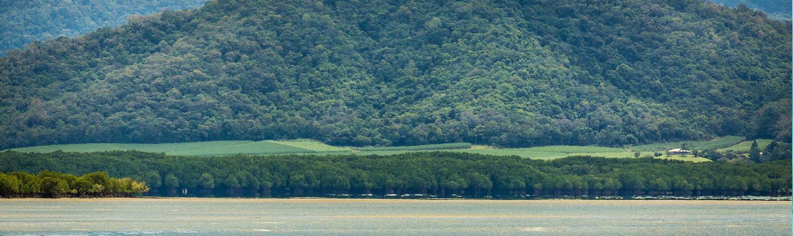 Can you go to the Daintree Rainforest on your own?