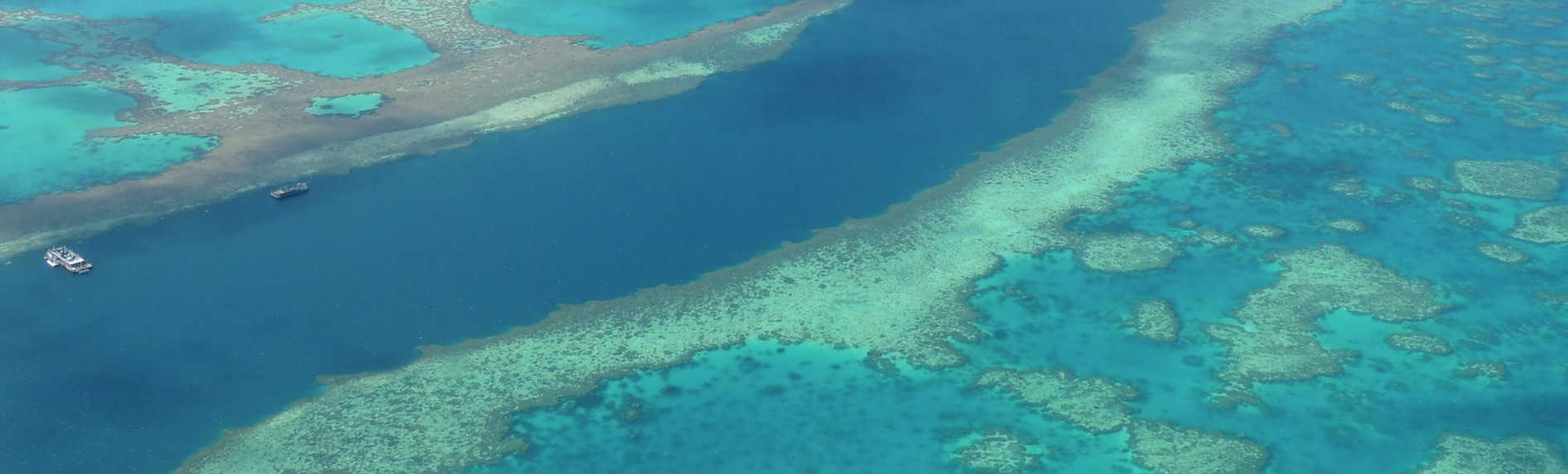 Great organisations saving the Great Barrier Reef!