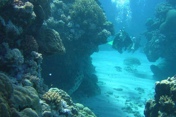 Great Barrier Reef Holiday