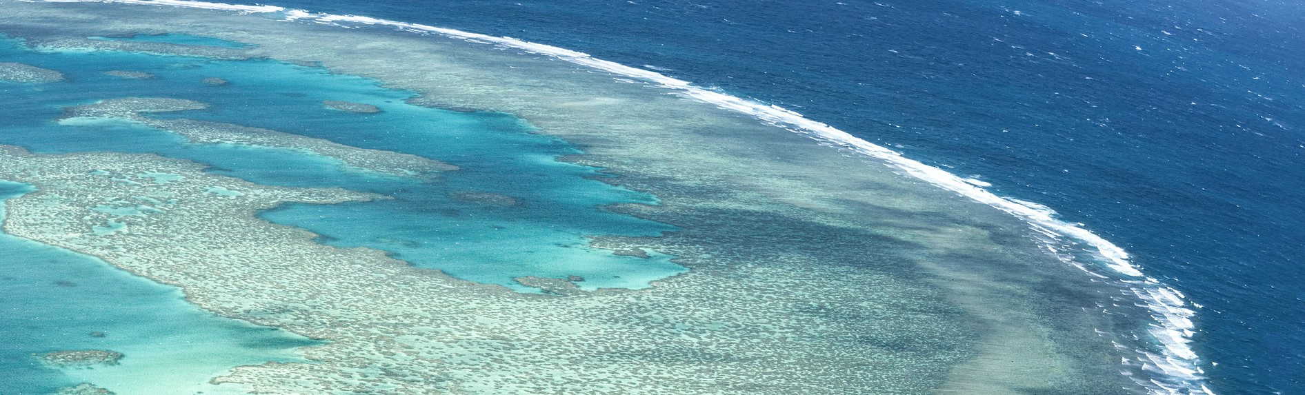 Where should I stay to see the Great Barrier Reef?