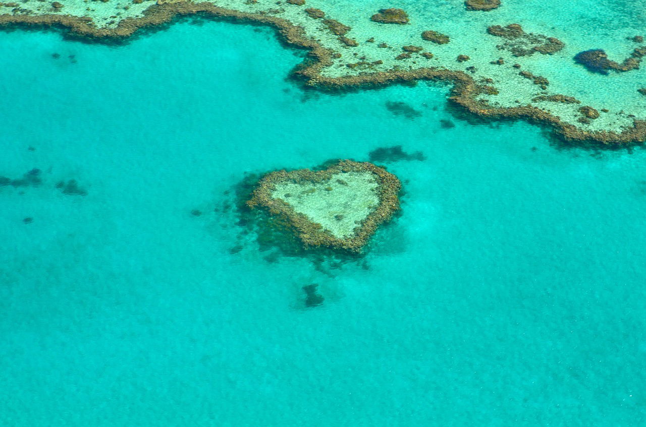 Seeing the Heart Reef in the Whitsundays