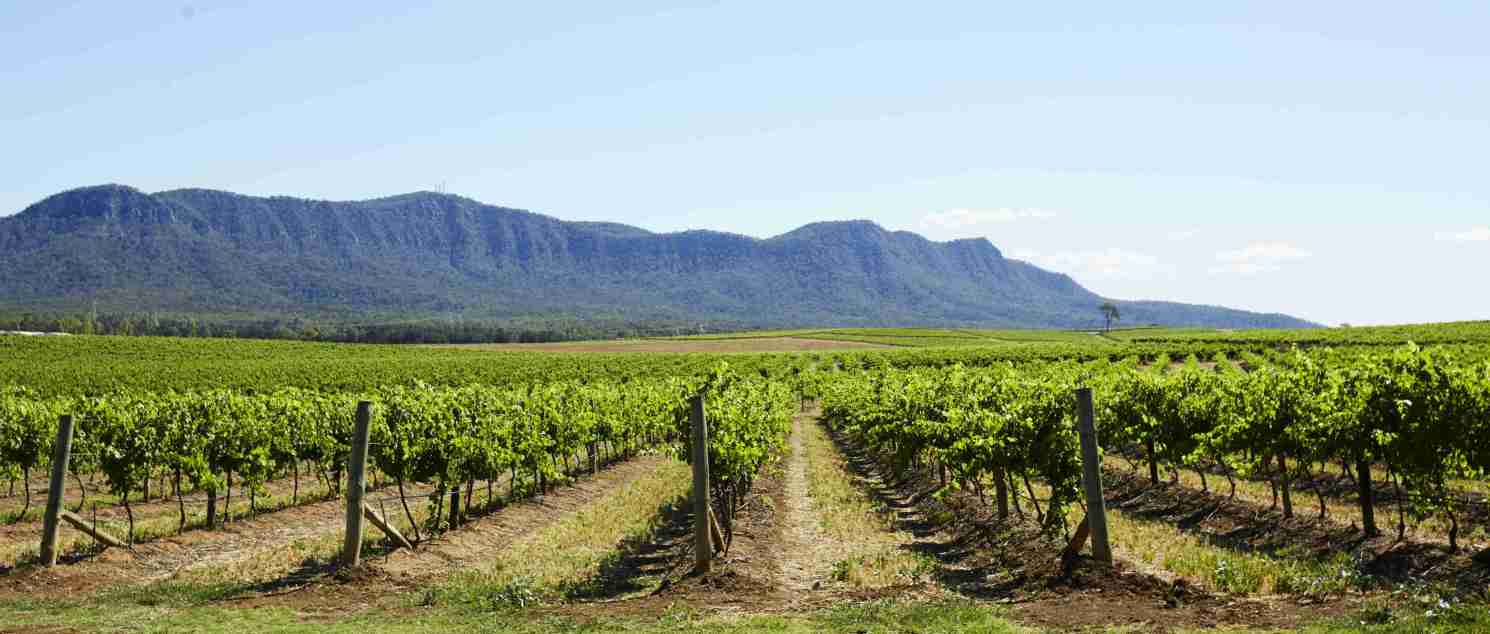Hunter Valley Winery Tour from Hunter Valley