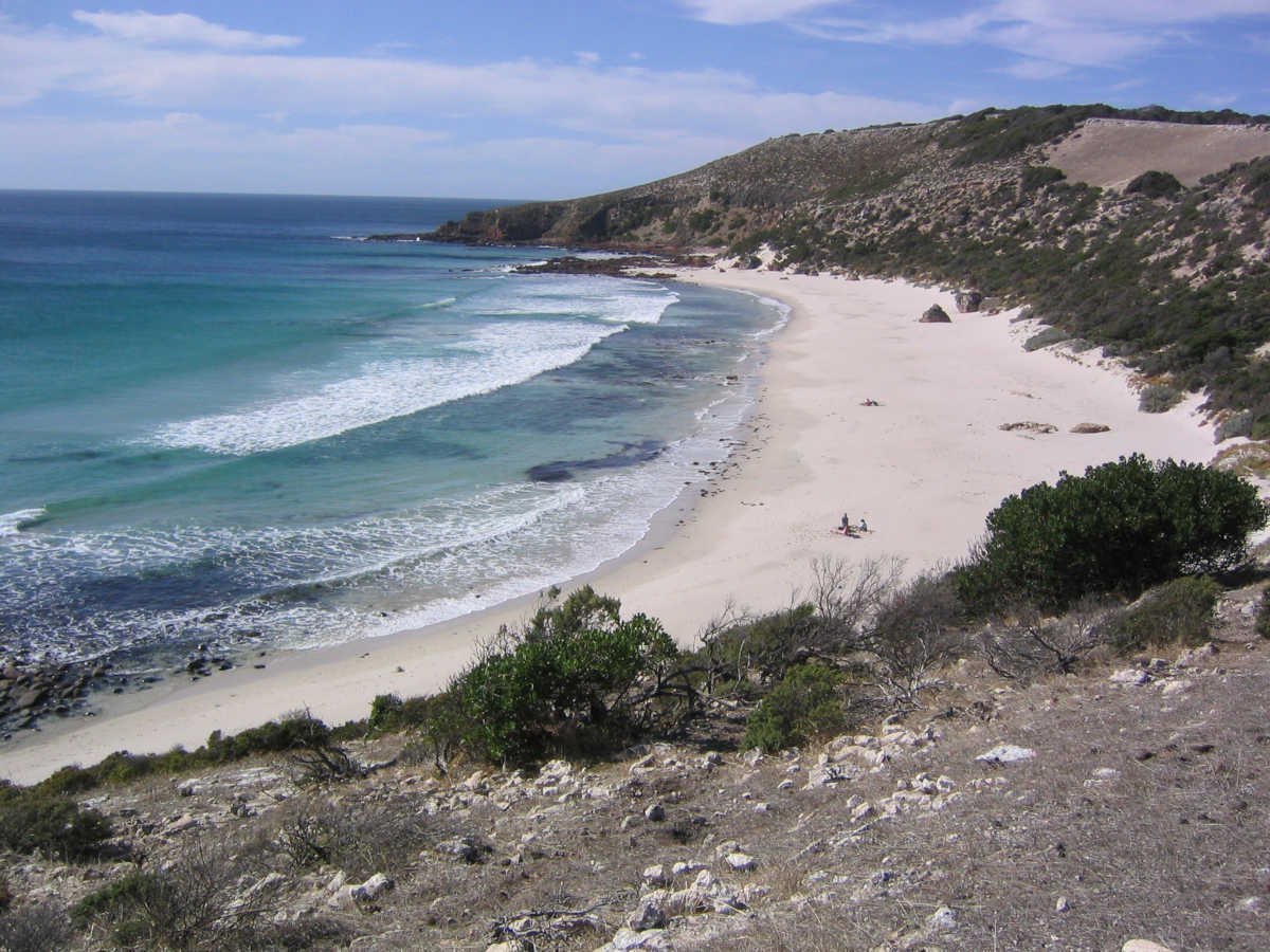 How You Can Help Kangaroo Island Rebuild?