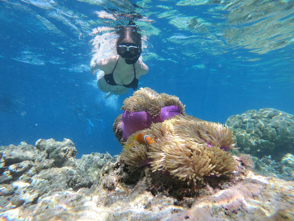 A beginner’s guide to snorkelling the Great Barrier Reef