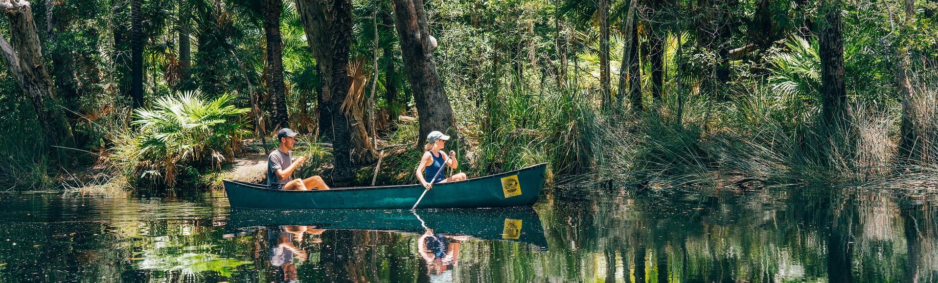 Noosa Everglades Cruise or Canoe Tour