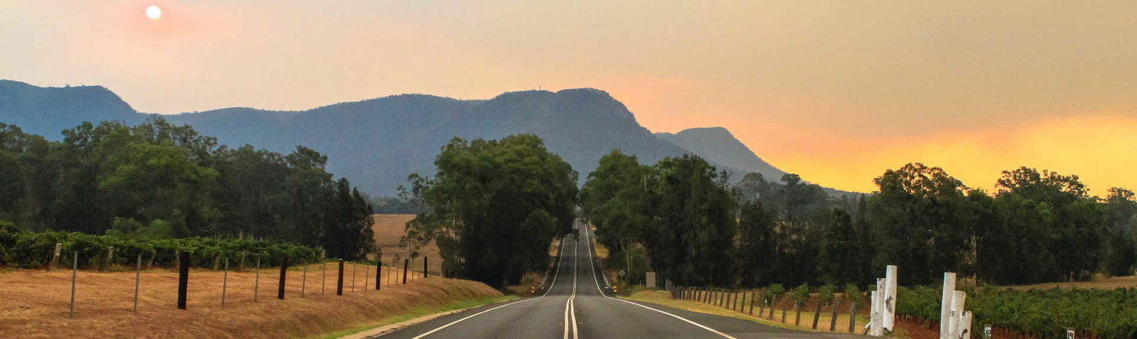 Pokolbin, Hunter Valley