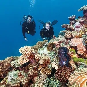 Great Barrier Reef Deluxe Tour with Dive