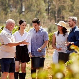 Hunter Valley Tour Wine & Foodie Experience
