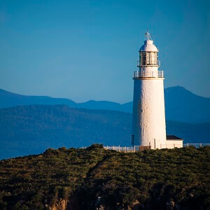 Bruny Island Lighthouse and Lunch Tour