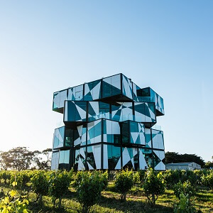 McLaren Vale & Cube Tour with Lunch