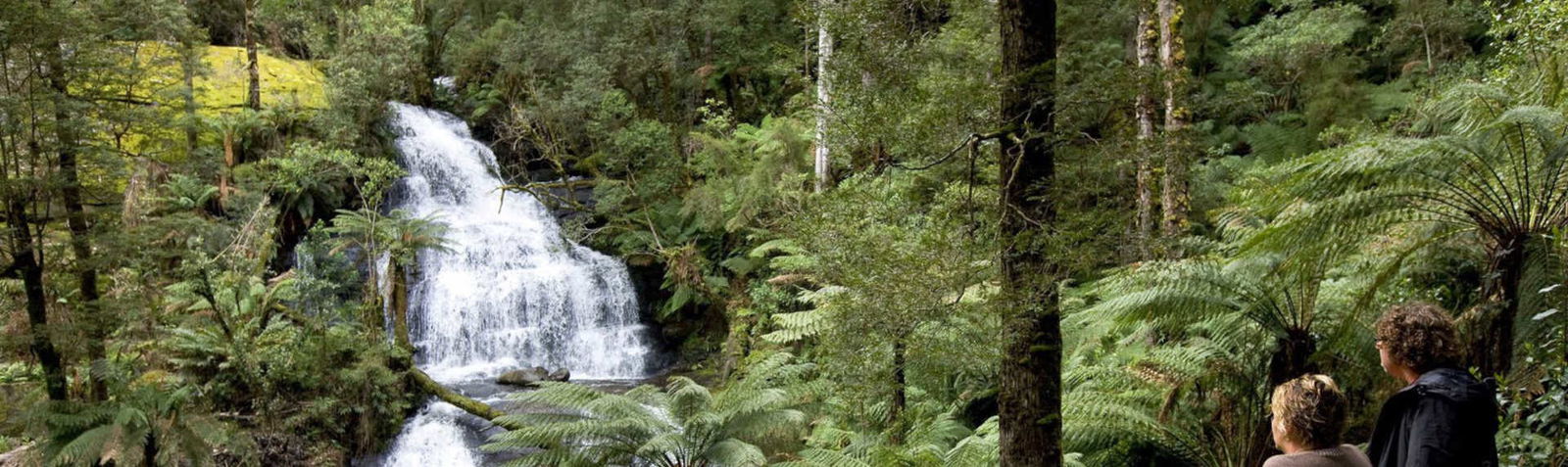 Things to do at Great Otway National Park Things to do at Great Otway National Park