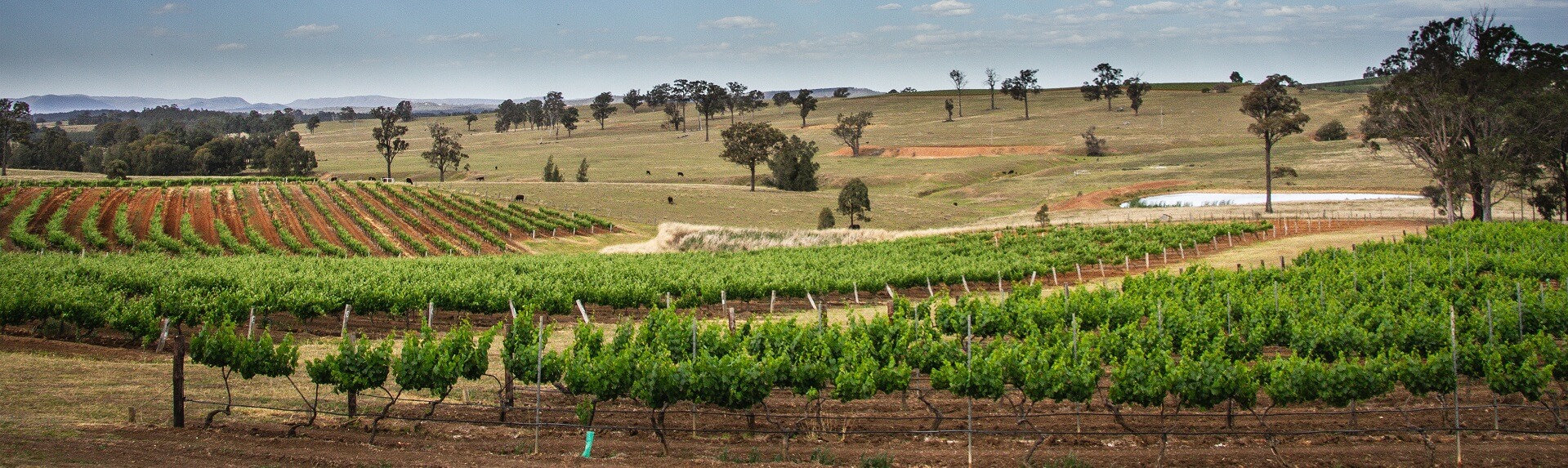 Do you have to pay for wine tasting in the Hunter Valley?