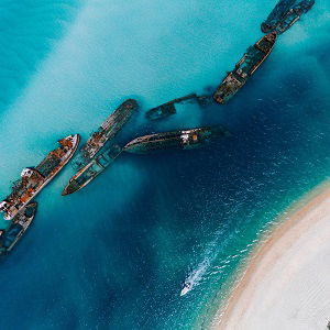 Can you swim out to Tangalooma wrecks?