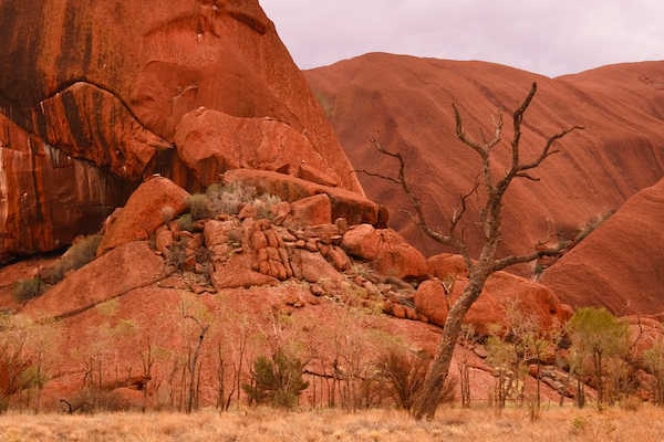 Uluru Accommodation