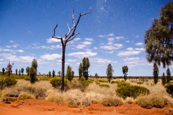 Uluru Highlights