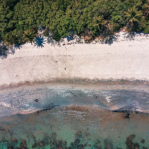 Is Daintree Rainforest worth visiting?