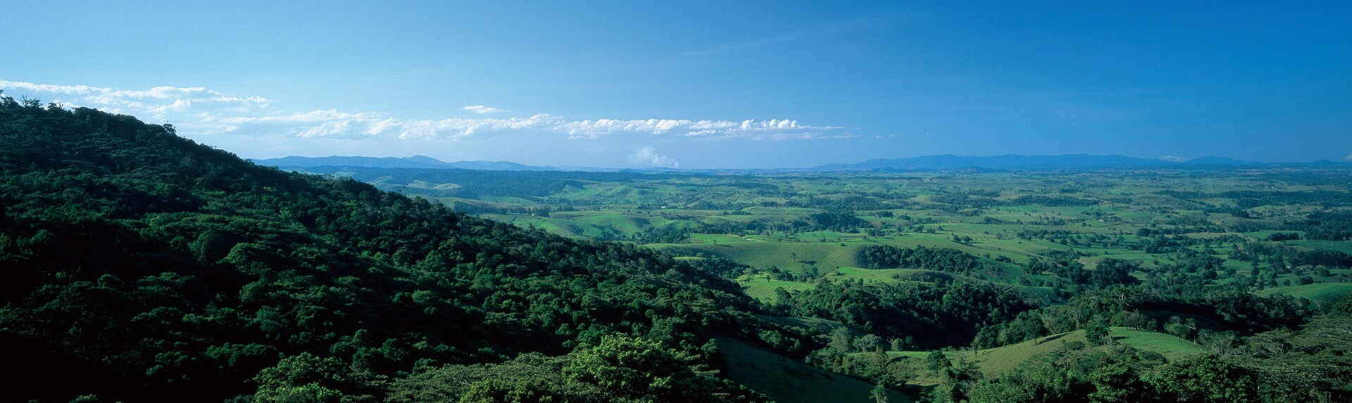 1 Day Outback Tasting Tour from Port Douglas