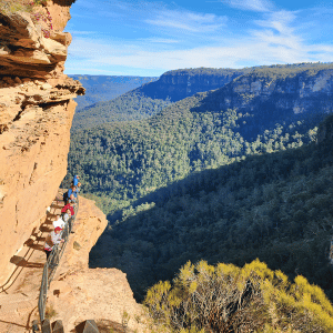 Blue Mountains Walking Tour