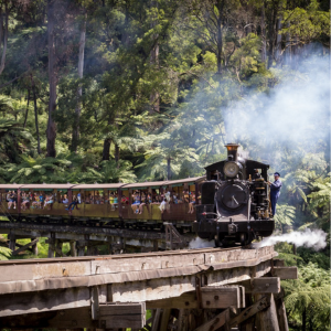 1 Day Puffing Billy Steam Train & Healesville Wildlife Tour