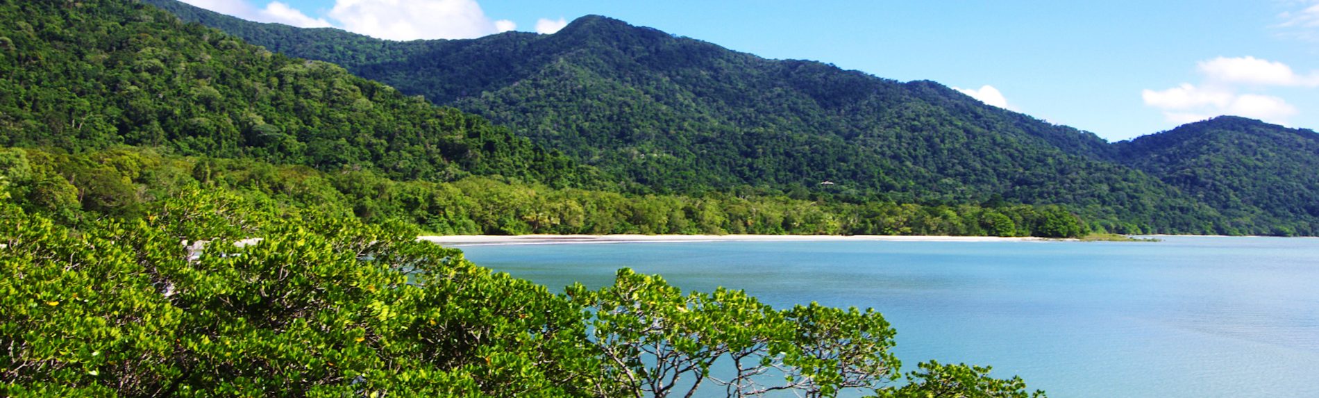 What is so special about the Daintree Rainforest?