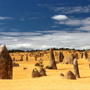 Pinnacles Day Tour from Perth