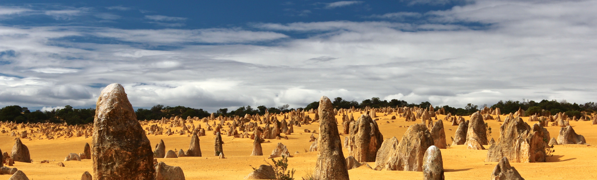 Pinnacles Day Tour from Perth