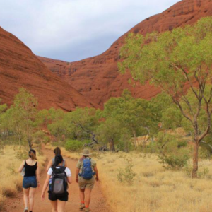 4 Day Ayers Rock Tour from Alice Springs