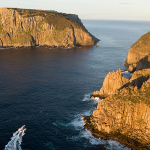 Tasman Island Cruise Day Tour from Hobart