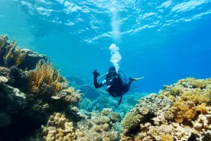 Great Barrier Reef Tours