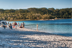Noosa and Fraser Island Tours