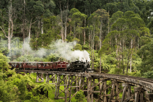 Yarra Valley and Dandenong Ranges Tours