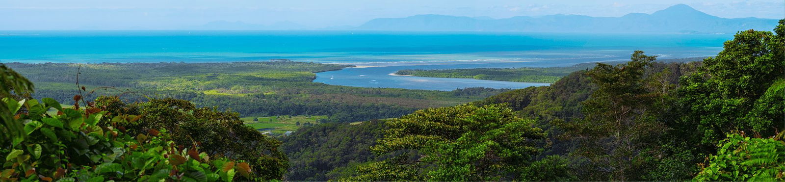 How old is the Daintree Rainforest?