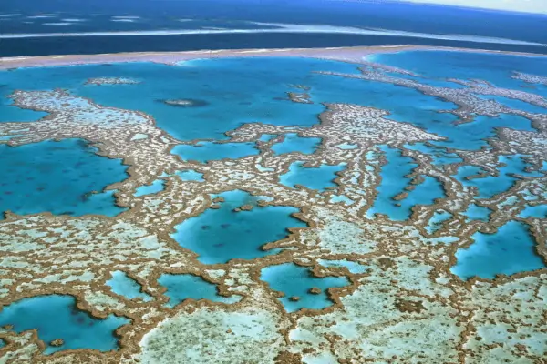 Is the Great Barrier Reef Still in Danger?