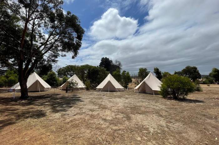 2 Day Kangaroo Camping Tour_GroovyGrapes (2)